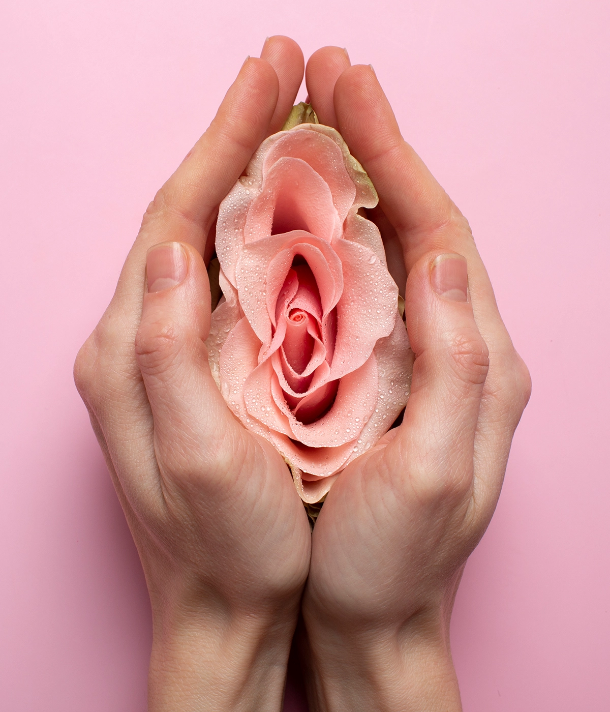 Aesthetic Gynecology Academy